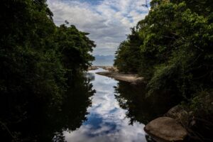 Curiosidades surpreendentes: 7 fatos que você não sabia sobre a natureza e suas funções essenciais
