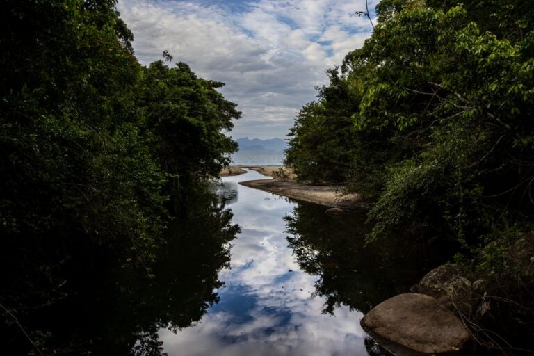 Curiosidades surpreendentes: 7 fatos que você não sabia sobre a natureza e suas funções essenciais